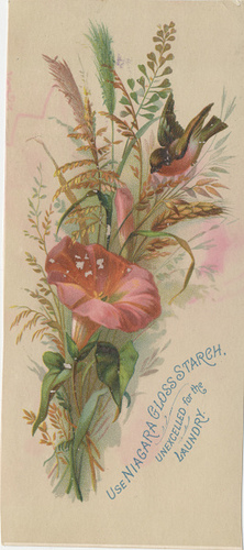 Bird with pink flower antique card