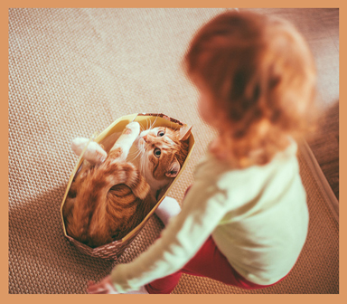 #Christian Bortes #cat #redheads #girls #little girls# #Children #play with animals